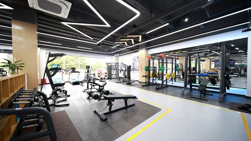 舒华全国体育中心最大旗舰店 健身个性化定制,打造健康生活
